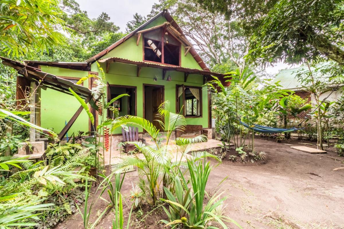 Casa Chilamates Тортугеро Екстер'єр фото