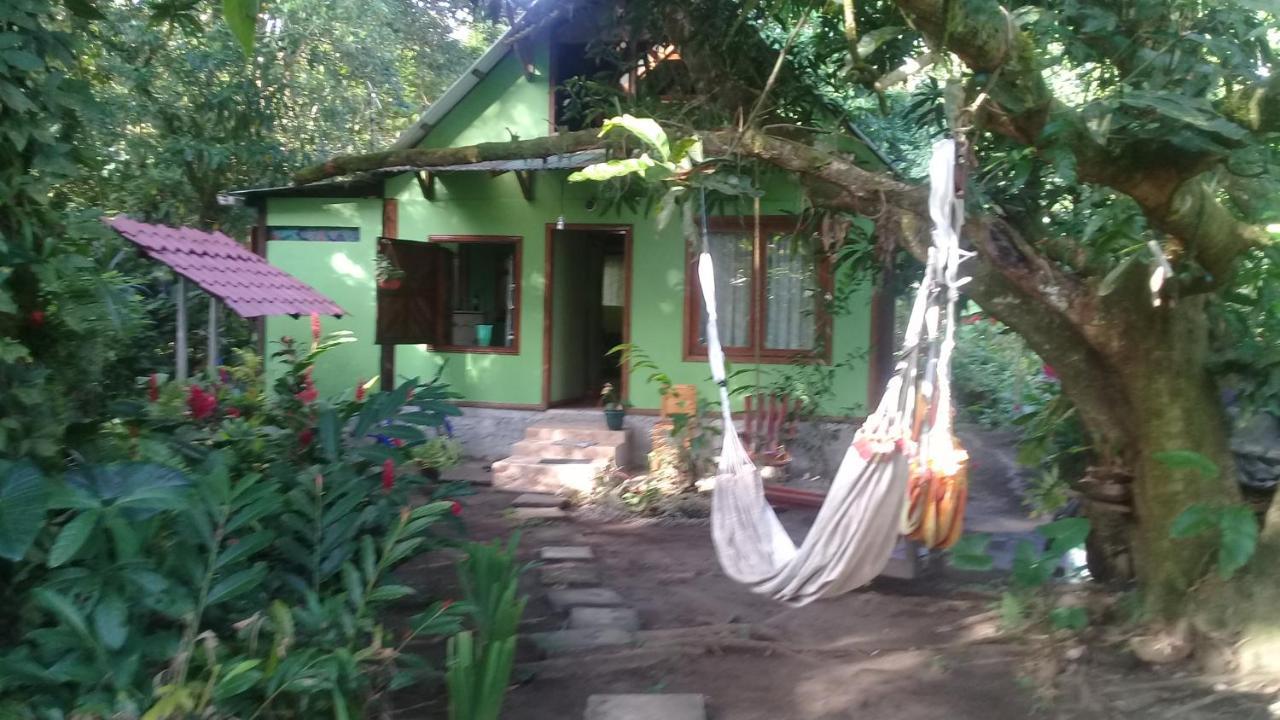 Casa Chilamates Тортугеро Екстер'єр фото